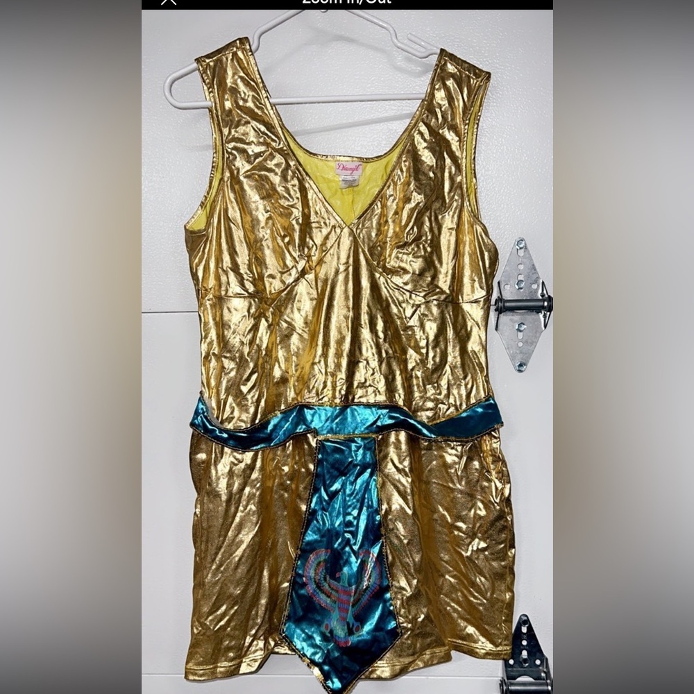 Dream girls cleopatra dress costume